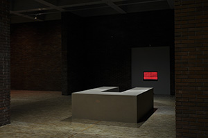 Robert Kaja, Tam, marzec 2010, film, płyta MDF, kwiaty Robert Kaja, Tam, marzec 2010, film, płyta MDF, kwiaty