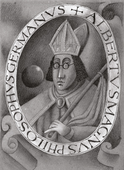 Henryk Waniek z teki Filozofy, Albertus Magnus, rysunek